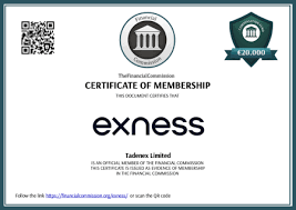 Exness Argentina Your Guide to Trading Success